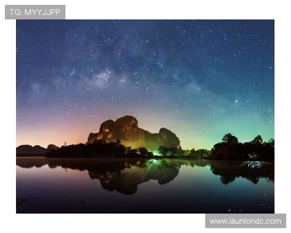 星空官方网站入口软件的特色功能与实用技巧分享