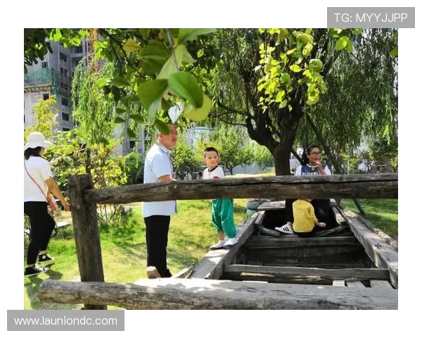 星空娱乐官网下载安装常见问题及解决方案，保障顺利体验游戏乐趣