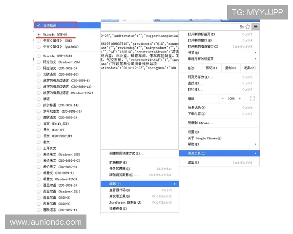 中欧体育官网登录入口网页版常见问题解答与安全登录保障措施详解